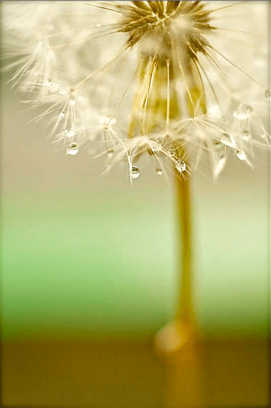 Screen shot 2015-02-19 at 9.48.16 AM