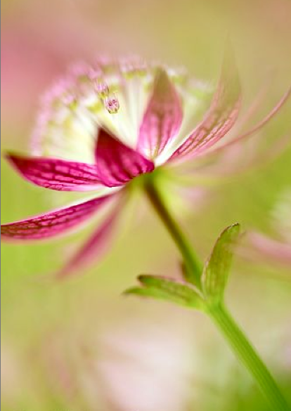 Screen shot 2015-02-19 at 9.49.03 AM