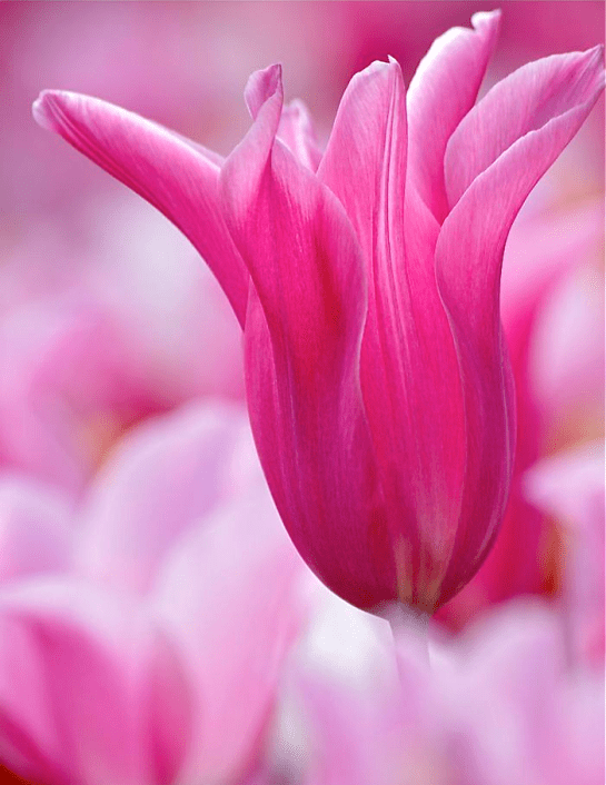 Screen shot 2015-02-21 at 8.10.42 PM