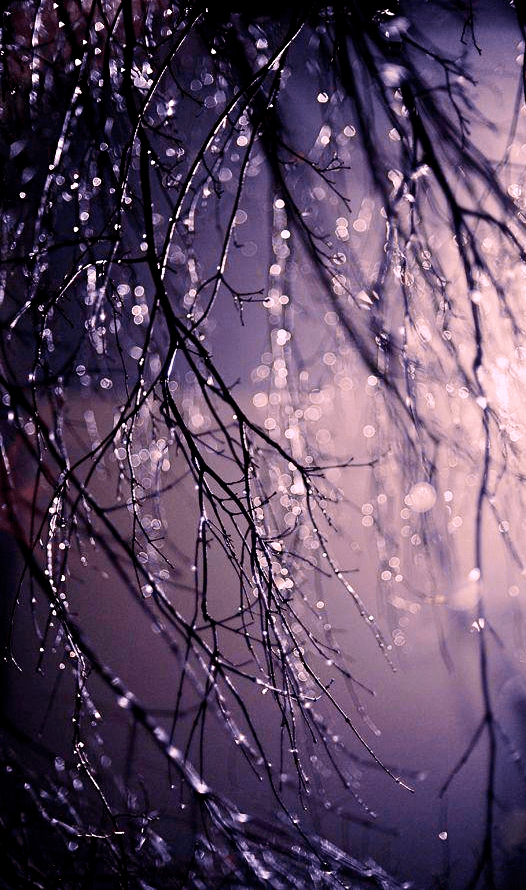 Screen shot 2015-02-25 at 6.56.36 PM