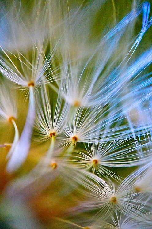 Screen shot 2014-05-26 at 4.26.49 PM