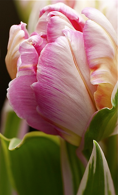 Screen shot 2015-01-09 at 3.59.27 PM