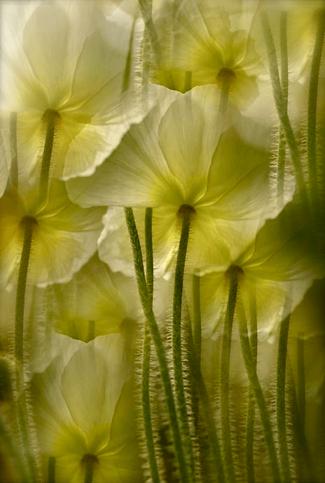 Screen shot 2015-02-18 at 10.11.21 PM