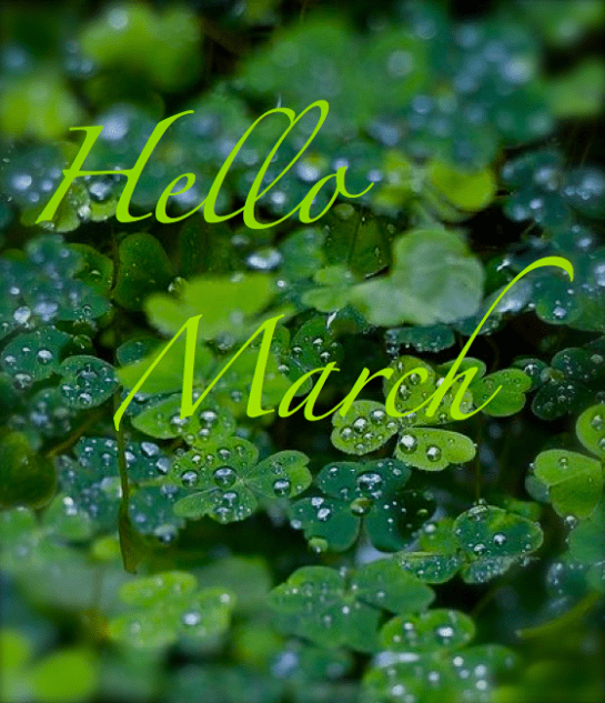 Screen shot 2015-03-02 at 4.49.08 PM