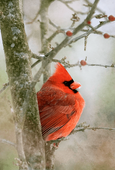 Screen shot 2015-03-06 at 7.12.03 PM