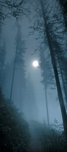 Screen shot 2015-03-06 at 7.12.45 PM