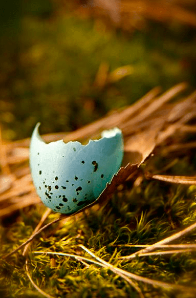 Screen shot 2015-03-06 at 7.13.33 PM