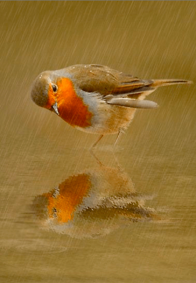 Screen shot 2015-03-09 at 3.28.48 PM