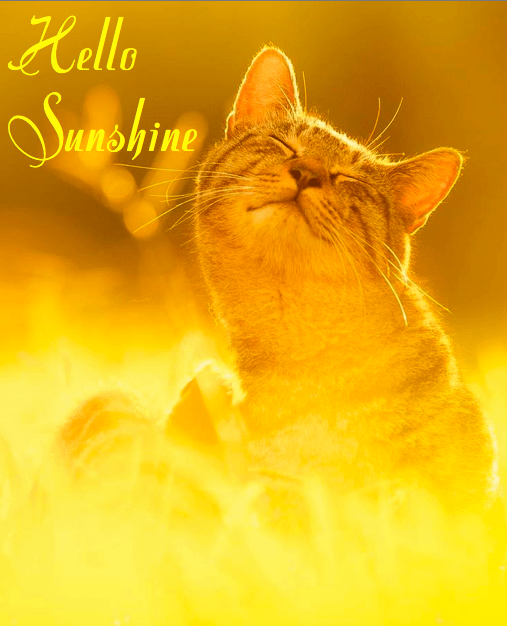 Screen shot 2015-03-11 at 7.03.01 PM