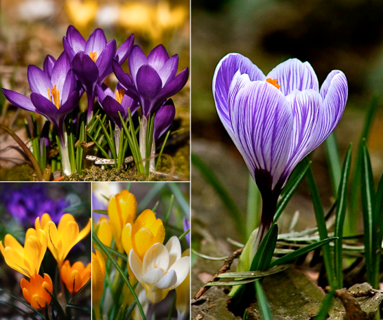 Screen shot 2015-03-16 at 4.27.41 PM