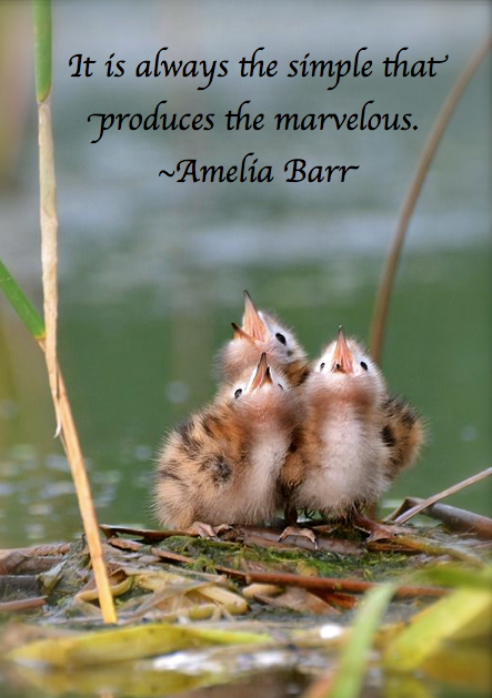 Screen shot 2015-03-19 at 7.38.35 PM