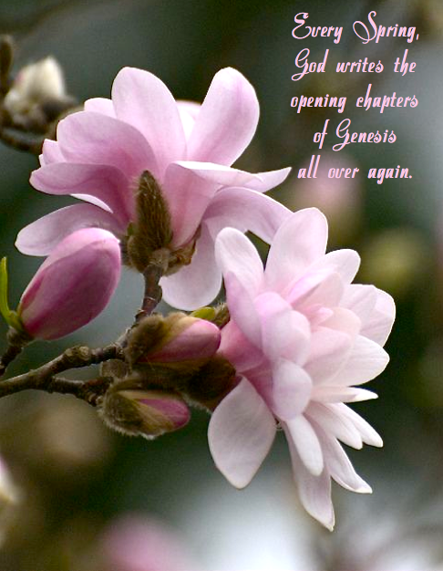 Screen shot 2015-03-20 at 1.19.05 PM