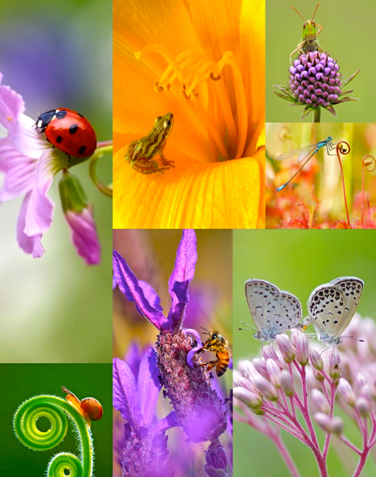 Screen shot 2015-03-23 at 5.42.38 PM