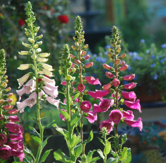 Screen shot 2015-04-09 at 6.06.47 PM