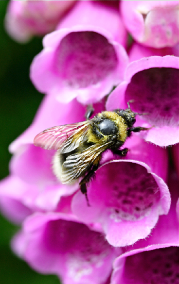 Screen shot 2015-04-09 at 6.07.18 PM