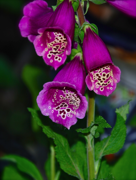 Screen shot 2015-04-09 at 6.07.55 PM