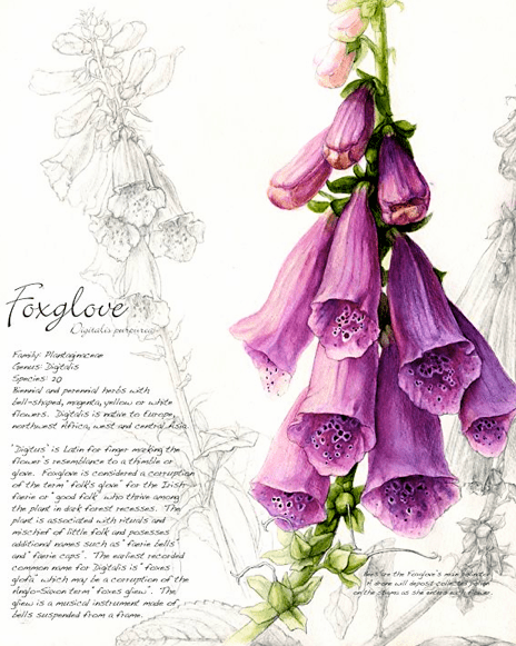 Screen shot 2015-04-09 at 6.09.52 PM