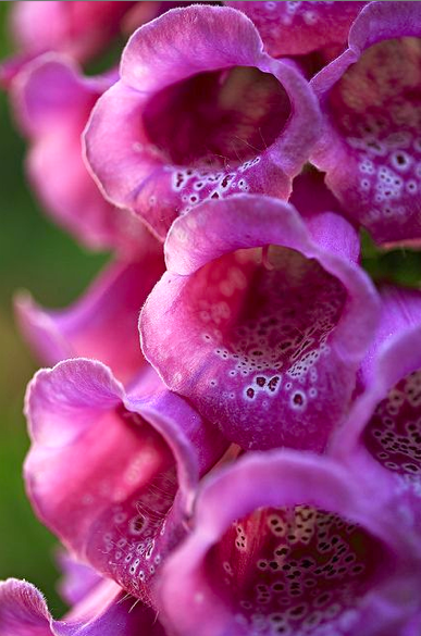 Screen shot 2015-04-09 at 6.11.38 PM