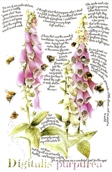 Screen shot 2015-04-09 at 6.12.04 PM