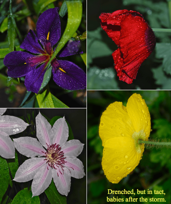 Screen shot 2015-04-25 at 8.46.39 PM