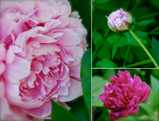 Screen shot 2015-04-27 at 6.05.21 PM