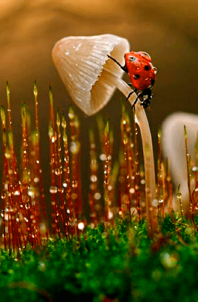 Screen shot 2015-04-28 at 3.49.12 PM