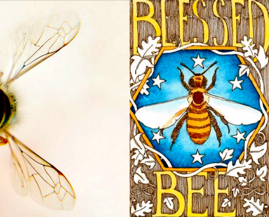 Screen shot 2015-04-30 at 4.27.08 PM