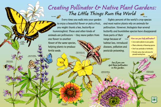 Screen shot 2015-04-30 at 4.28.47 PM