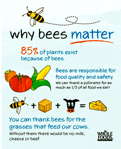 Screen shot 2015-04-30 at 4.29.16 PM