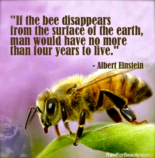 Screen shot 2015-04-30 at 4.29.43 PM