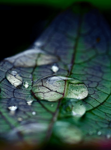 Screen shot 2014-09-21 at 2.08.42 PM