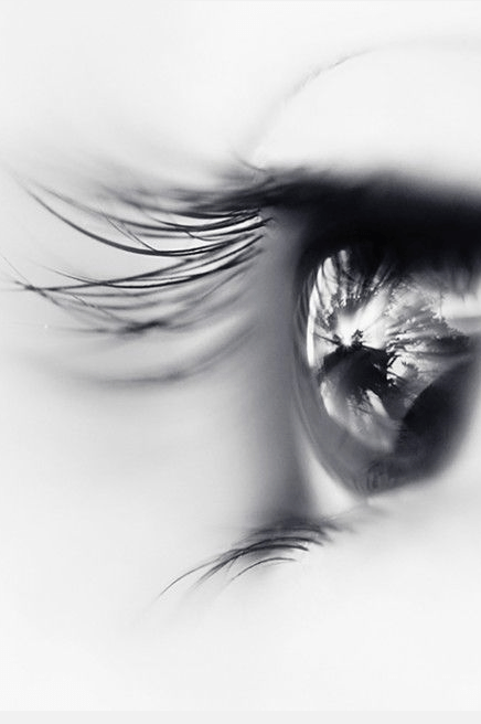 Screen shot 2014-11-05 at 7.30.58 PM