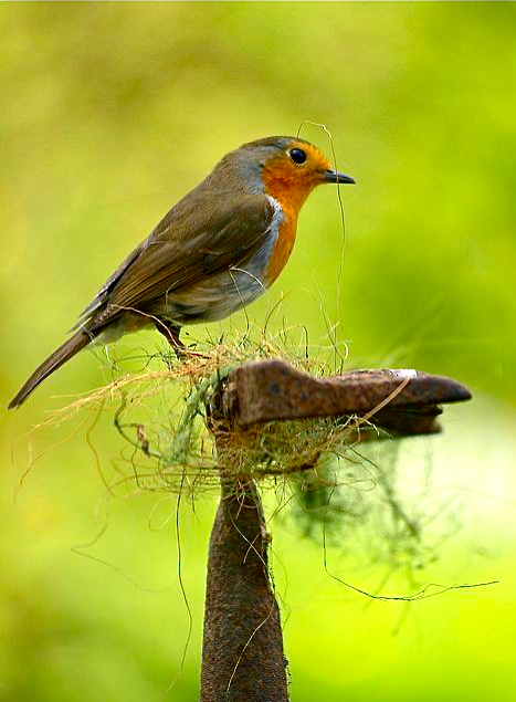 Screen shot 2015-05-02 at 6.56.45 PM