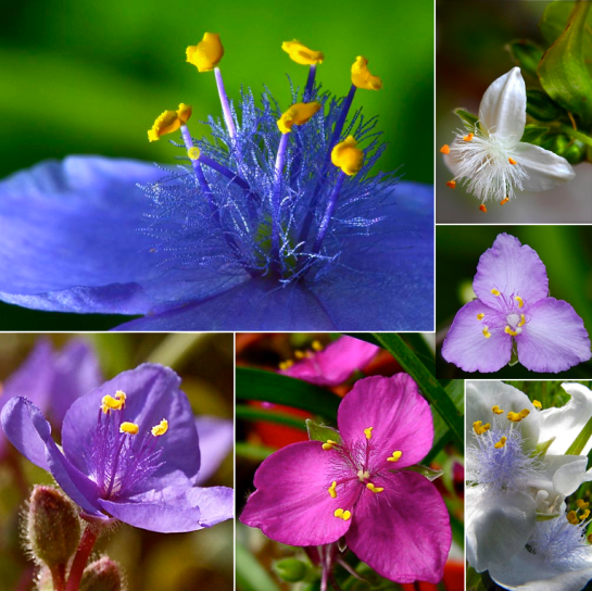 Screen shot 2015-05-04 at 9.35.05 PM