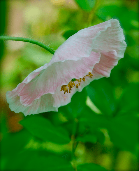 Screen shot 2015-05-14 at 12.59.03 PM