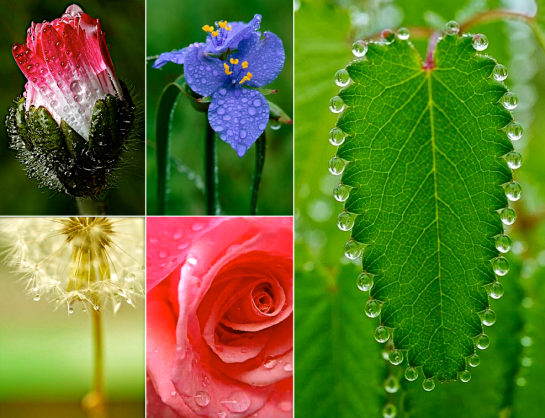 Screen shot 2015-05-16 at 2.30.03 PM