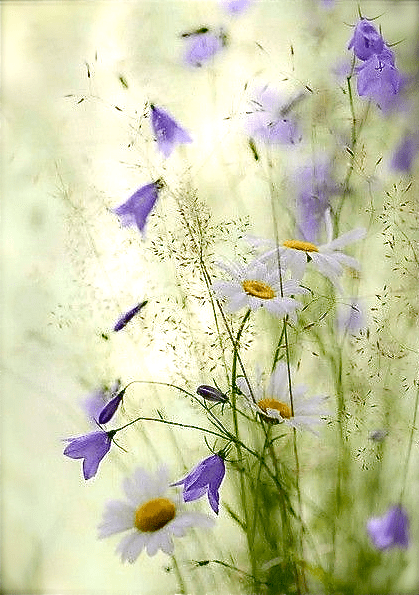 Screen shot 2015-05-18 at 3.20.44 PM