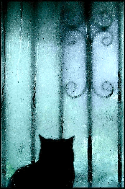 Screen shot 2015-05-20 at 2.47.00 PM