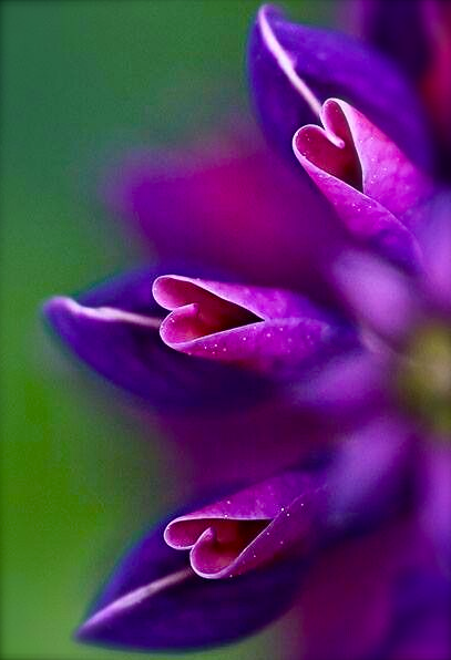 Screen shot 2015-06-21 at 2.06.49 PM