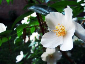 29497_1277612831882_1288728_n