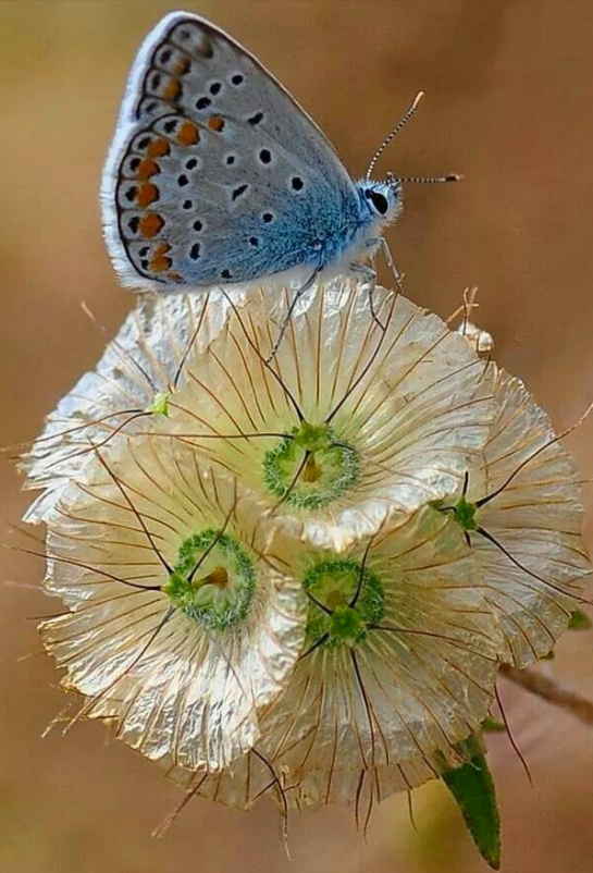 Screen shot 2015-07-14 at 5.24.11 PM