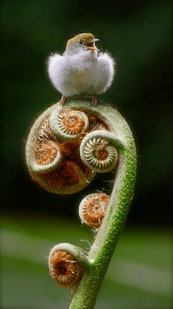 Screen shot 2015-07-17 at 1.53.20 PM