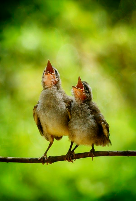 Screen shot 2015-07-17 at 1.55.02 PM