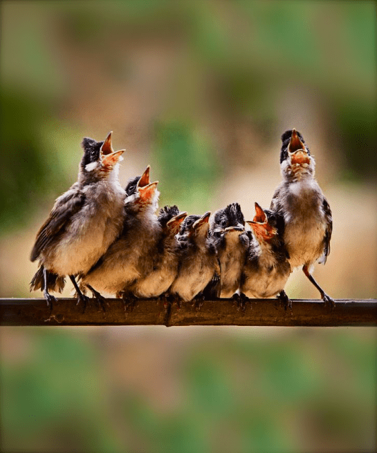 Screen shot 2015-07-17 at 1.57.19 PM