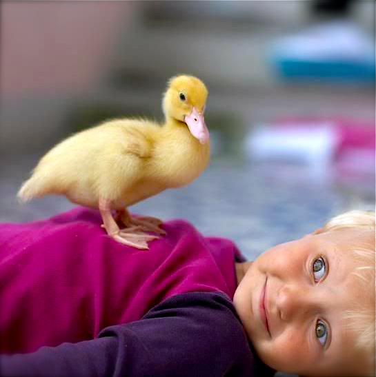 Screen shot 2015-07-17 at 1.59.43 PM