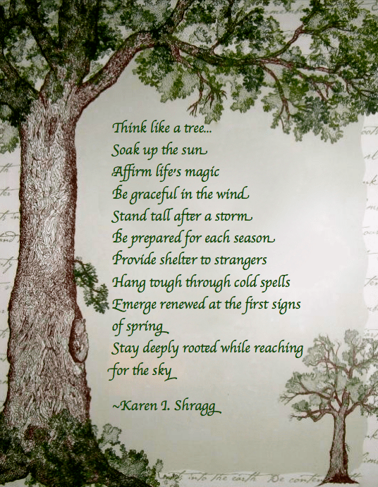 Screen shot 2015-07-24 at 5.22.03 PM