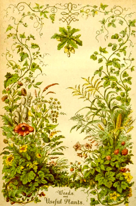 Screen shot 2015-07-25 at 5.54.38 PM