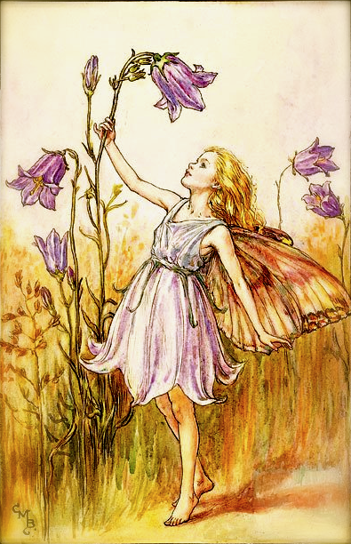 Screen shot 2015-07-26 at 7.39.56 PM