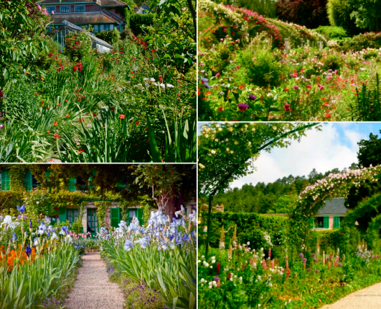 Screen shot 2015-07-28 at 6.04.02 PM