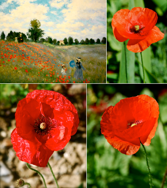 Screen shot 2015-07-29 at 1.52.26 PM